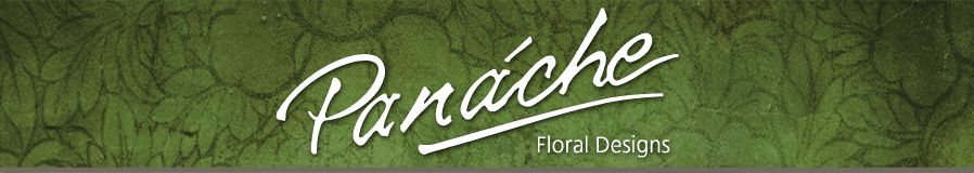 panache header image